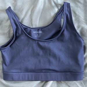 Ivy Park Blue Sports Bra